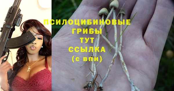 первитин Абинск