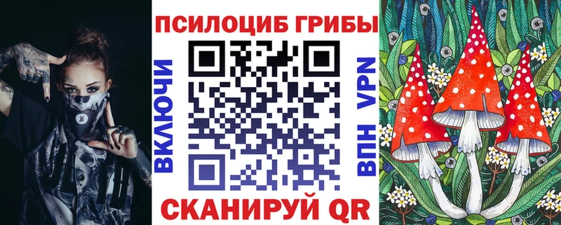 OMG зеркало  Шахты  Галлюциногенные грибы прущие грибы  где купить наркоту 